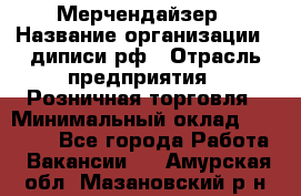 Мерчендайзер › Название организации ­ диписи.рф › Отрасль предприятия ­ Розничная торговля › Минимальный оклад ­ 25 000 - Все города Работа » Вакансии   . Амурская обл.,Мазановский р-н